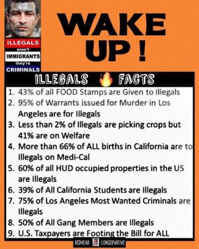 IMG_20250812_073257_449