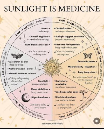 531975011_750820764322666_2927359505828222397_n