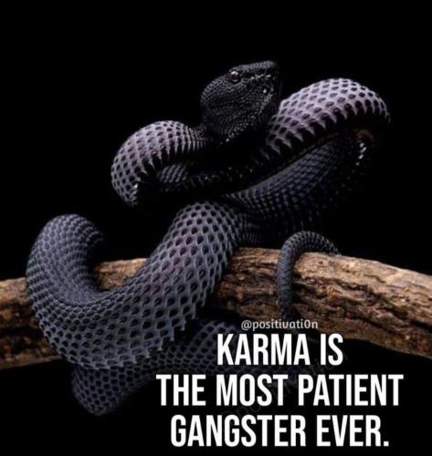 37ec24a9cb7bbcf0d86416c385566f43