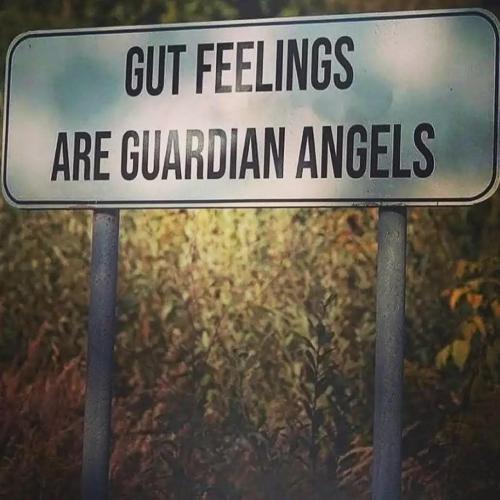 9076a4e4a7724a9e2d2cdd74b9ed0af2