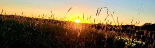 Screenshot_20250819_184011_Gallery