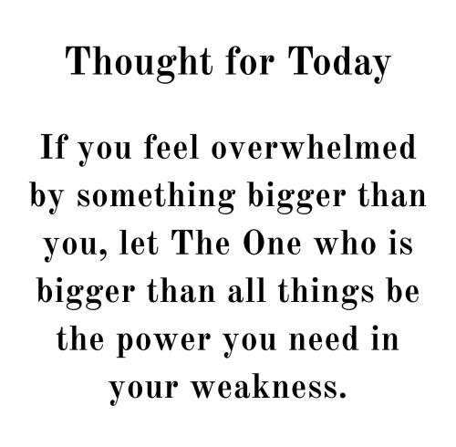 530023011_778286878038994_5703290409550193862_n