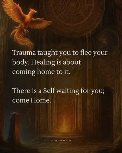 540555091_747780107868234_7699384178043566865_n