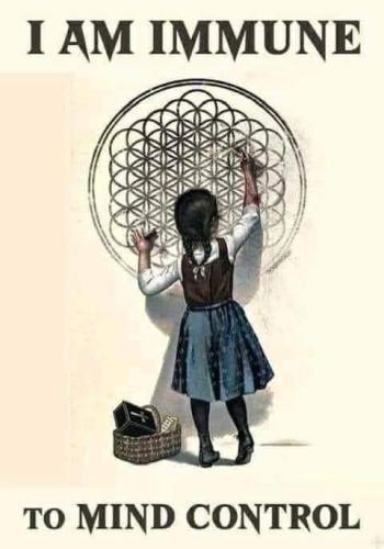 e803dbfb93d7d740b3e653979d72a89c