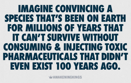 Screenshot 2025-08-05 170416