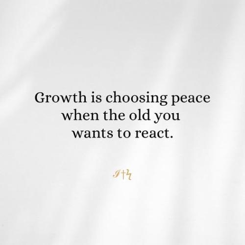 537193016_122248708748190433_6570098844275736232_n