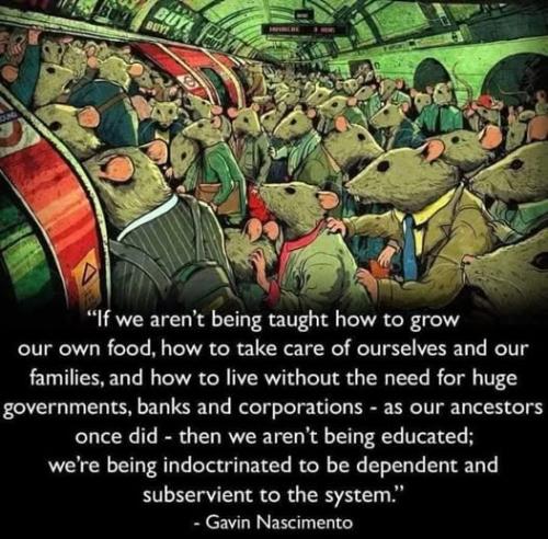 531483289_750001631071246_6915840796524592874_n