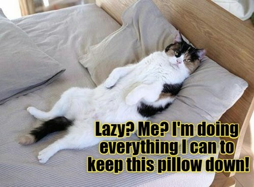 lazy-me