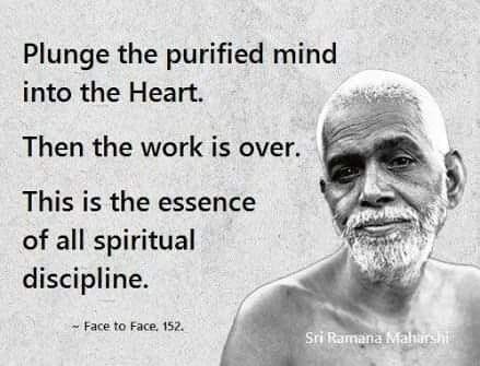 ,         418235313_73391130547