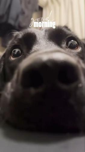 IMG_20250731_130424_234