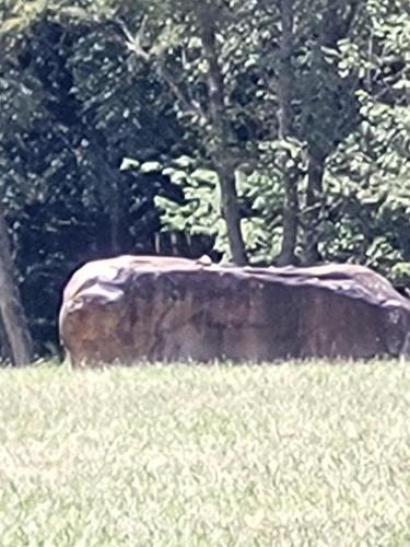 d9907893-b01e-4149-9858-661d99df592e