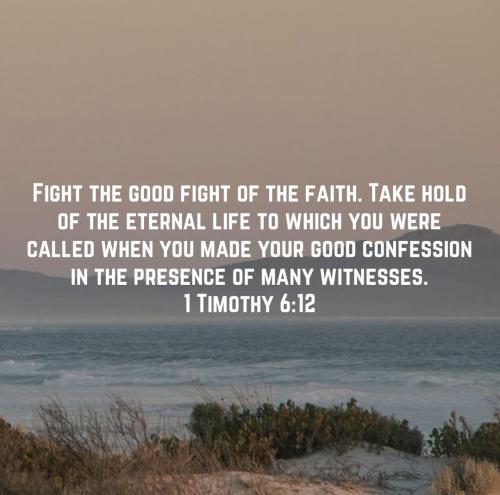 523697441_3460671687409305_8251447094858222586_n