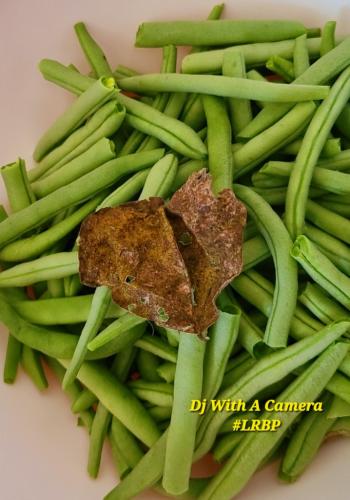 Screenshot_20250813_070316_Gallery