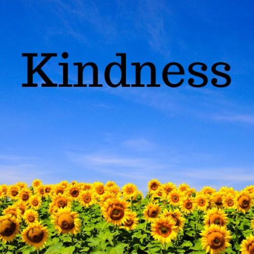 bba9eb8db169171b75df4c7f311e0d09