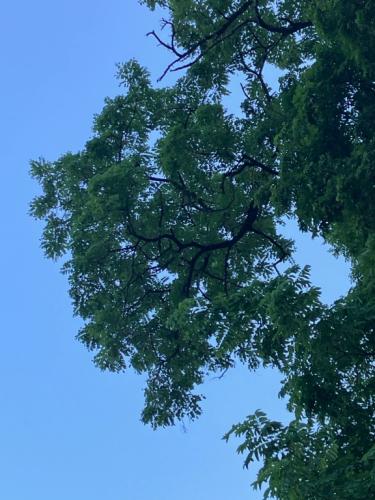 20851CCD-9D8F-40C3-9BD2-F9C8F5CB0FD5