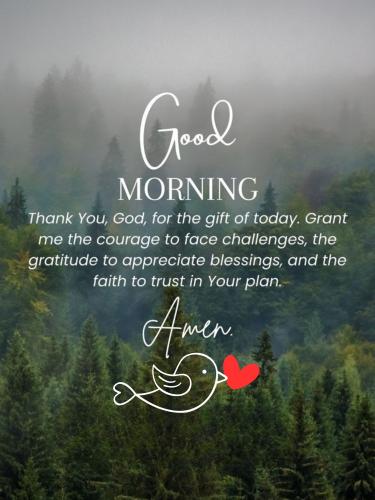 532404304_782255414308807_1460678982752971007_n