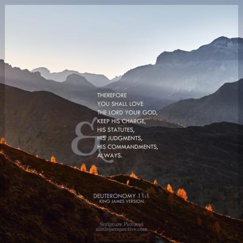 deu-11-1-KJV-unsplash