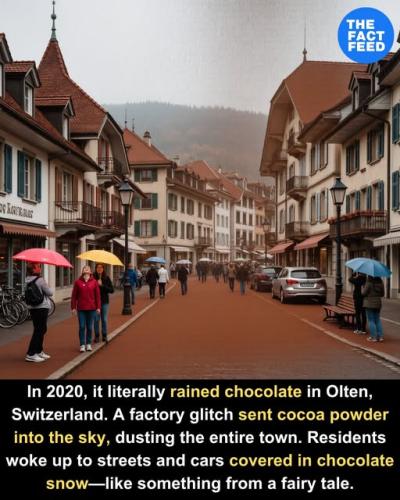 525154817_122128945442813992_7682256908417036125_n