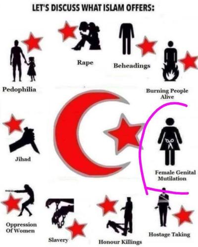 IMG_20250803_103223_642