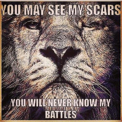 82c755fb94e0954104cb477d4b5da0e6