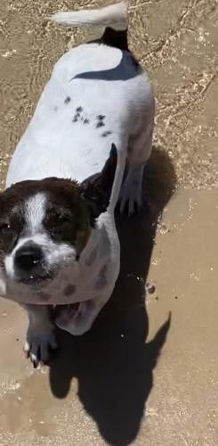 51503222-BF54-4C64-AFE1-047B65991407