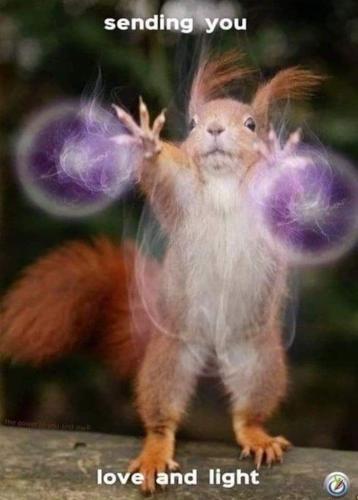 0a25a968-755f-4603-9658-ee8af5c04908