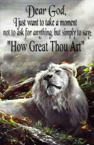 7bd5e821175fe06ad5195d56538d858b_1024