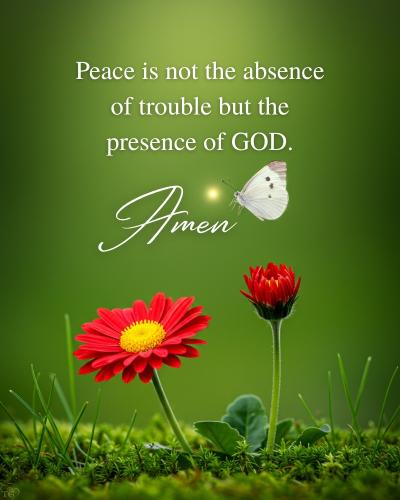 531903450_1279751723853952_3774567862412947636_n