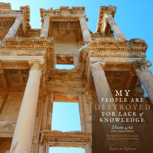 hos-4-6a-KJV-pixabay