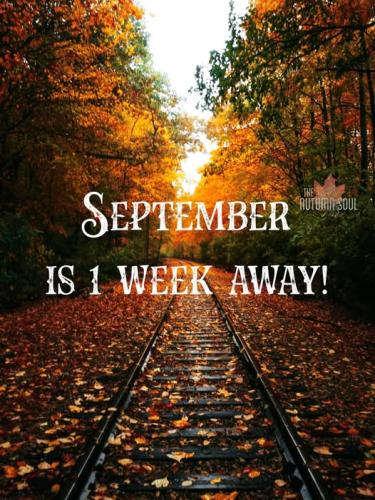 539899682_780615464854648_614731256697799188_n