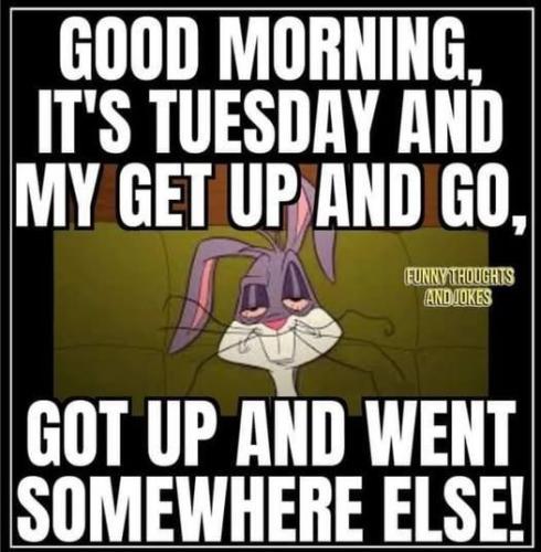 530693593_122173334618423602_691176866899363542_n