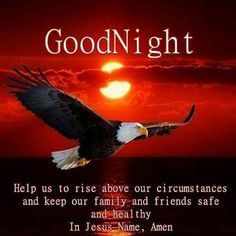 68bdf974bc8c0652d982b878d1e21391