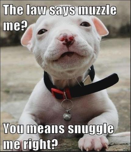 6c98bd1a6251ced7dc6f863ef75a2999