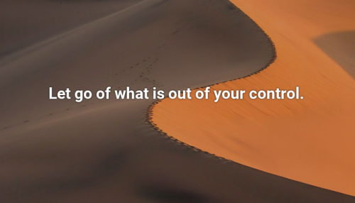 Screenshot 2025-08-19 8.17.40 AM