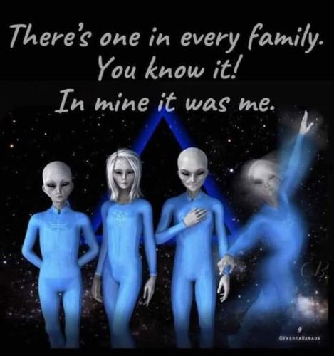 539907450_783860527863475_9007529429058883602_n