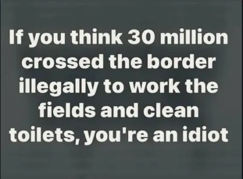 image_2025-08-27_065516293