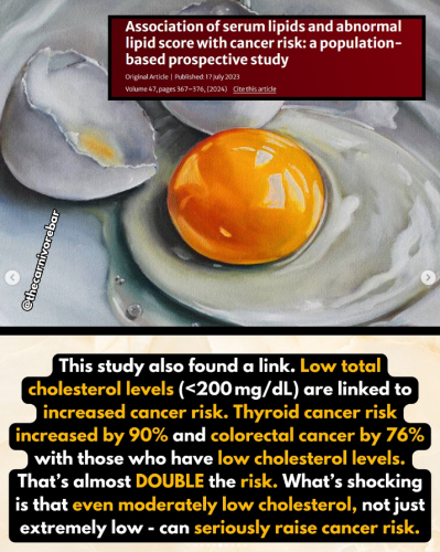 Screenshot 2025-07-30 090552