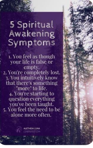 526550419_1794505071493810_1528836863817775179_n