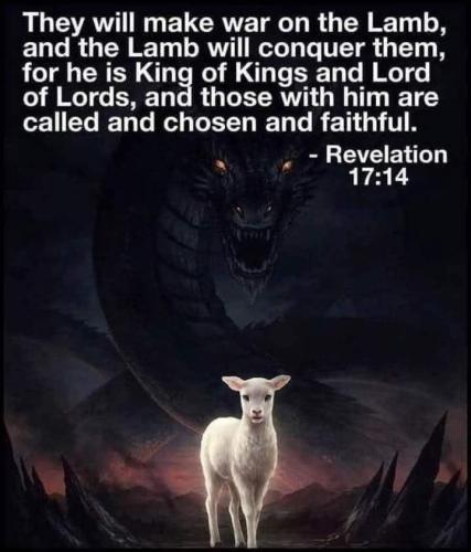 IMG_20250813_003034_651