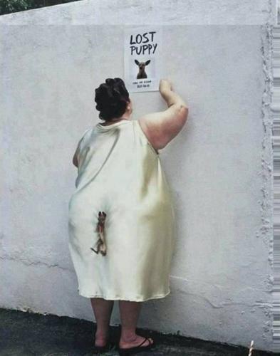 IMG_20250828_140335_335