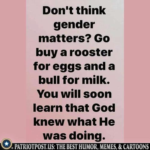 01K3HTVC9AM4EVPV4V3GMFC3ZN