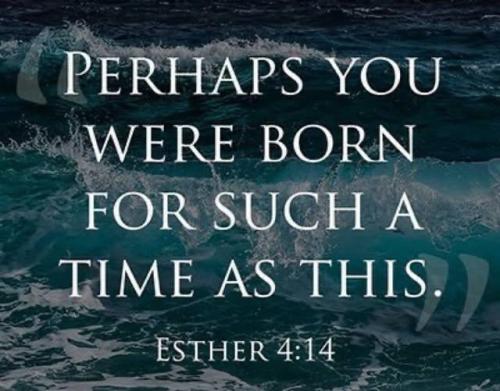 ,         418235313_73391130547