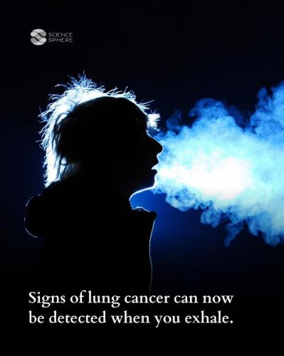 2b8e3f10-97fe-4b5e-83d5-19121a433eab