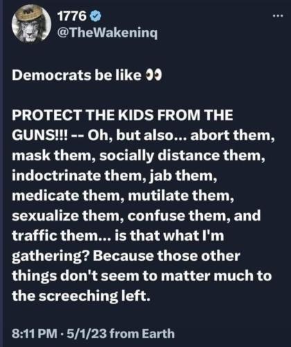 demonrats and guns
