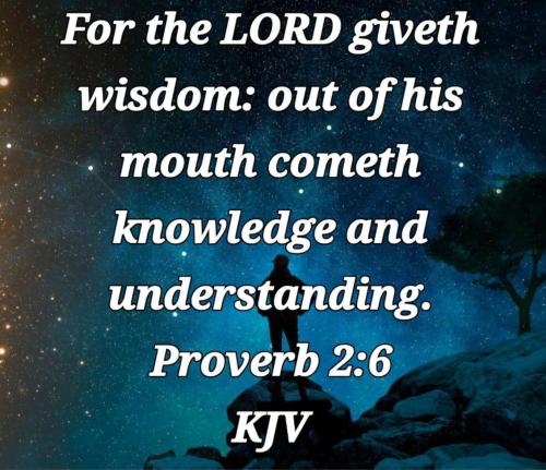 60155c60-0c37-4ce3-91ba-768981ac69ba