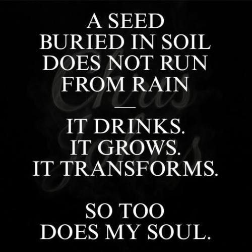 527758883_4118070428480632_4158225015726997048_n