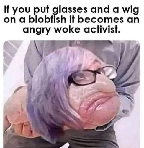 FB_IMG_1755625079006