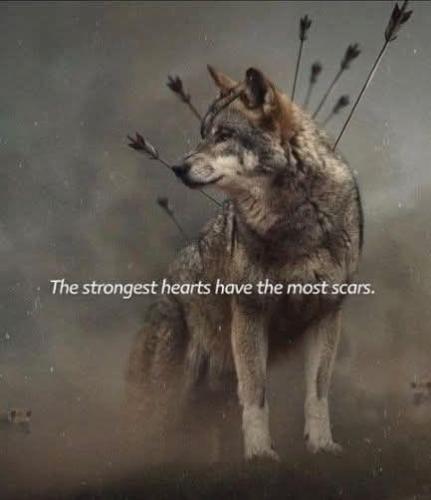 2bd91345e4a7502decce9f944aaa080d