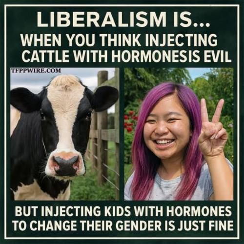 Liberals & Hormones
