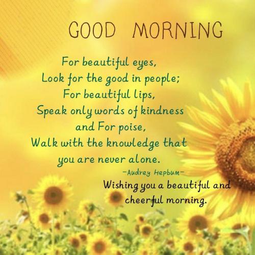 531707745_1358128149419074_3057086079320026105_n